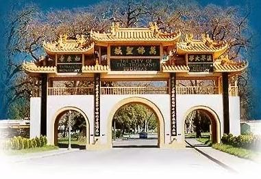 建议与反馈