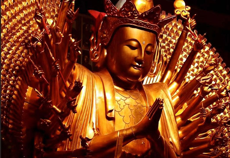 分享与交流
